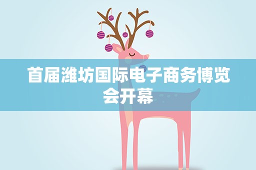 首届潍坊国际电子商务博览会开幕