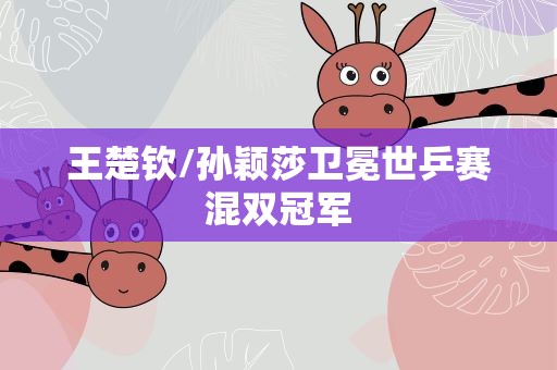 王楚钦/孙颖莎卫冕世乒赛混双冠军