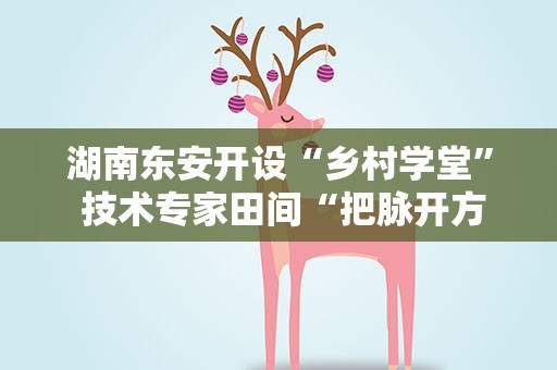 湖南东安开设“乡村学堂” 技术专家田间“把脉开方”