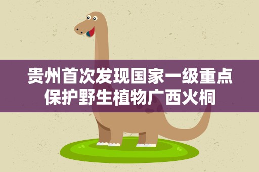 贵州首次发现国家一级重点保护野生植物广西火桐
