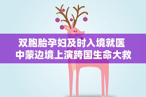 双胞胎孕妇及时入境就医 中蒙边境上演跨国生命大救援