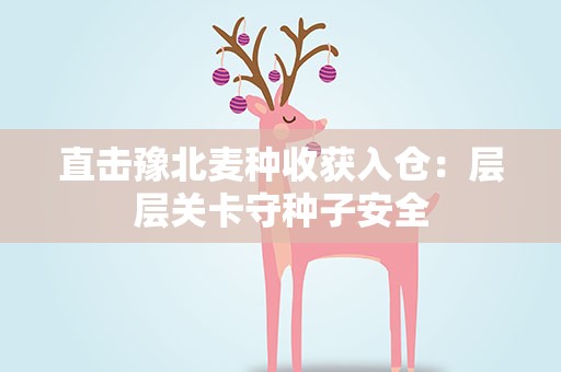 直击豫北麦种收获入仓：层层关卡守种子安全