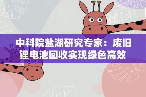 中科院盐湖研究专家：废旧锂电池回收实现绿色高效