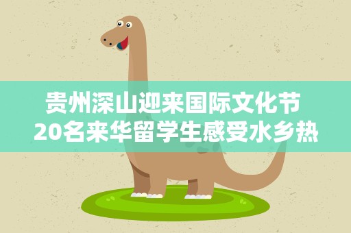 贵州深山迎来国际文化节 20名来华留学生感受水乡热情
