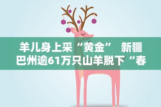羊儿身上采“黄金”  新疆巴州逾61万只山羊脱下“春装”换“夏衣”