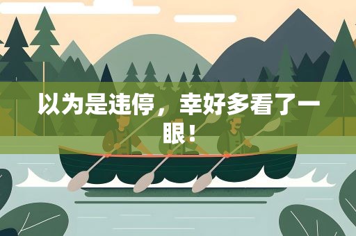 以为是违停，幸好多看了一眼！