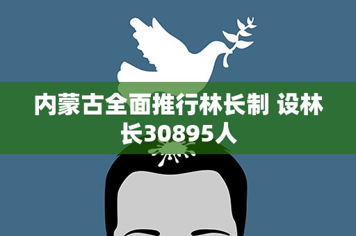 内蒙古全面推行林长制 设林长30895人