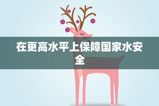 在更高水平上保障国家水安全