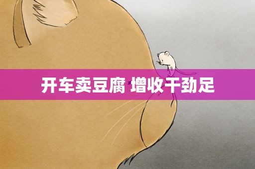 开车卖豆腐 增收干劲足