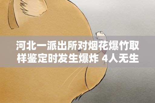 河北一派出所对烟花爆竹取样鉴定时发生爆炸 4人无生命体征