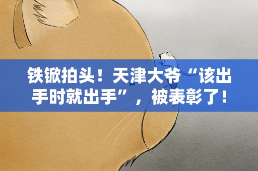 铁锨拍头！天津大爷“该出手时就出手”，被表彰了！