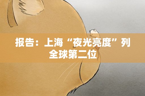 报告：上海“夜光亮度”列全球第二位