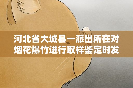河北省大城县一派出所在对烟花爆竹进行取样鉴定时发生爆炸