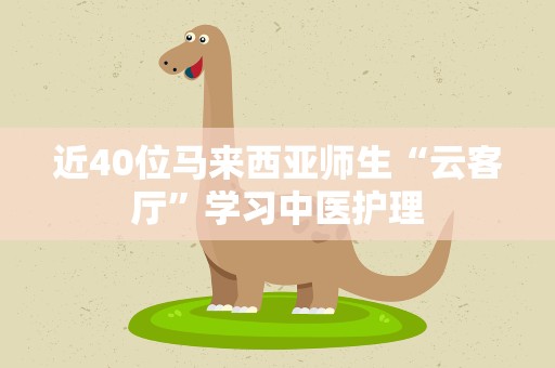 近40位马来西亚师生“云客厅”学习中医护理