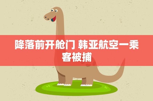 降落前开舱门 韩亚航空一乘客被捕