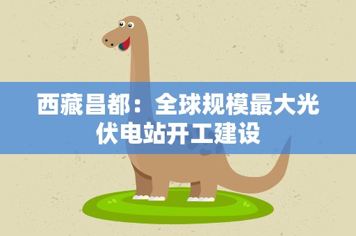 西藏昌都：全球规模最大光伏电站开工建设