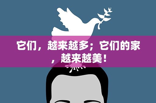 它们，越来越多；它们的家，越来越美！