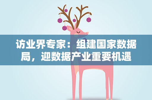 访业界专家：组建国家数据局，迎数据产业重要机遇