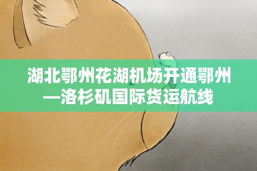湖北鄂州花湖机场开通鄂州—洛杉矶国际货运航线
