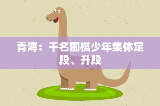 青海：千名围棋少年集体定段、升段
