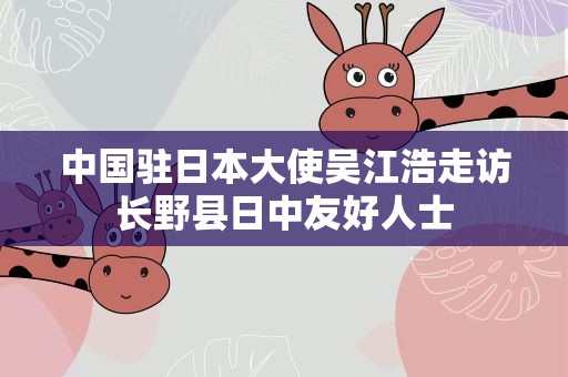 中国驻日本大使吴江浩走访长野县日中友好人士