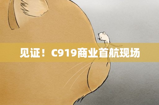 见证！C919商业首航现场