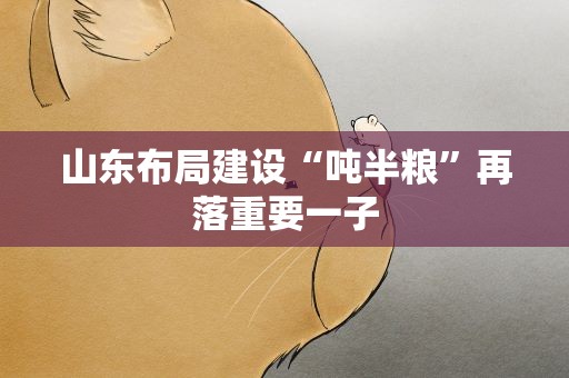 山东布局建设“吨半粮”再落重要一子