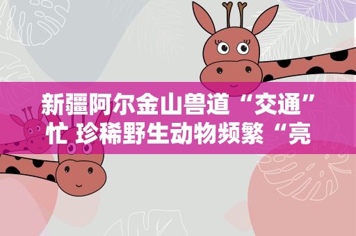 新疆阿尔金山兽道“交通”忙 珍稀野生动物频繁“亮相”（图）