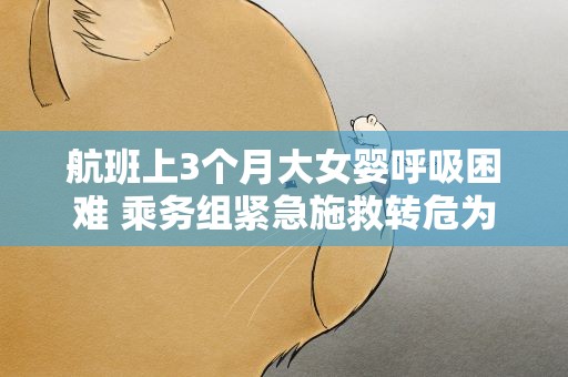 航班上3个月大女婴呼吸困难 乘务组紧急施救转危为安
