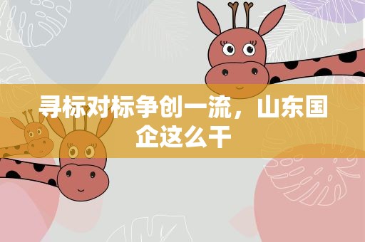寻标对标争创一流，山东国企这么干