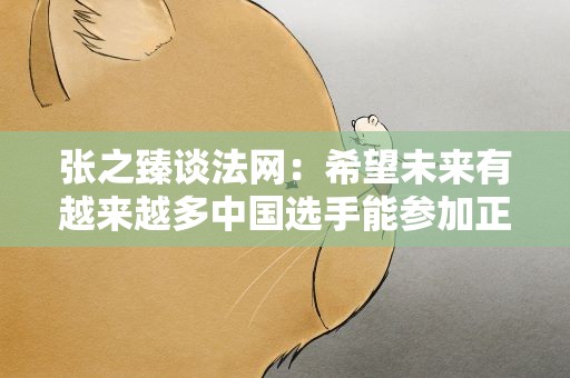 张之臻谈法网：希望未来有越来越多中国选手能参加正赛