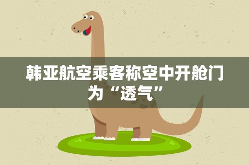 韩亚航空乘客称空中开舱门为“透气”