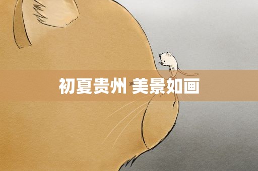 初夏贵州 美景如画