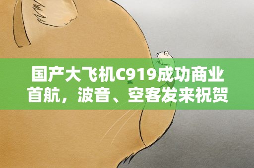 国产大飞机C919成功商业首航，波音、空客发来祝贺！