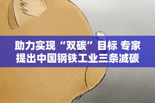 助力实现“双碳”目标 专家提出中国钢铁工业三条减碳路径