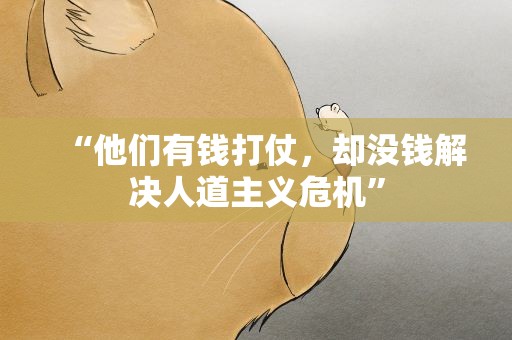 “他们有钱打仗，却没钱解决人道主义危机”