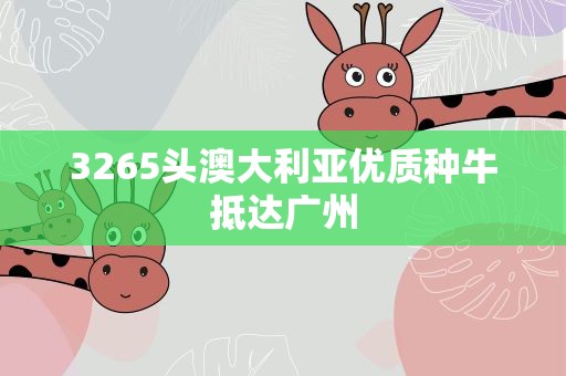3265头澳大利亚优质种牛抵达广州