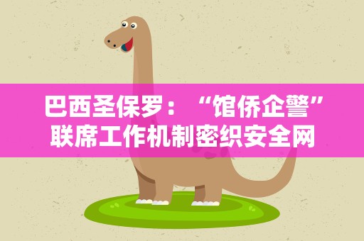 巴西圣保罗：“馆侨企警”联席工作机制密织安全网