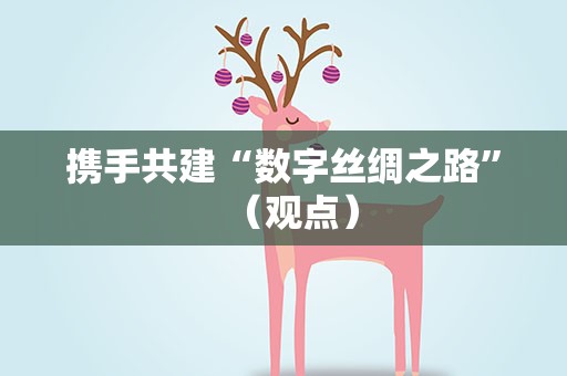 携手共建“数字丝绸之路”（观点）