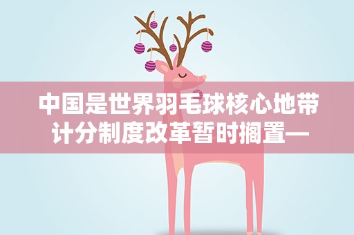 中国是世界羽毛球核心地带 计分制度改革暂时搁置——专访世界羽联主席拉尔森