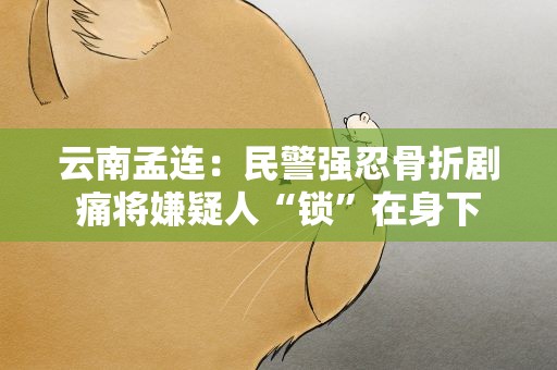 云南孟连：民警强忍骨折剧痛将嫌疑人“锁”在身下