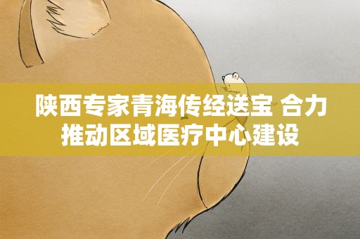 陕西专家青海传经送宝 合力推动区域医疗中心建设