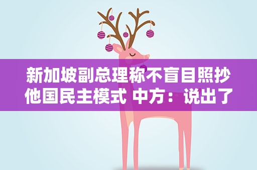 新加坡副总理称不盲目照抄他国民主模式 中方：说出了很多国家的心声