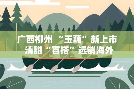 广西柳州 “玉藕”新上市  清甜“百搭”远销海外