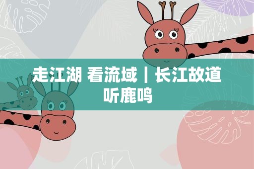 走江湖 看流域｜长江故道听鹿鸣