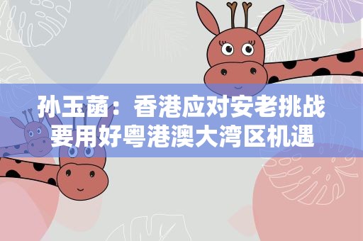 孙玉菡：香港应对安老挑战要用好粤港澳大湾区机遇
