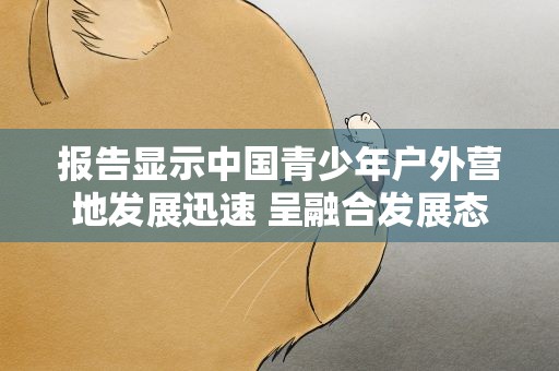 报告显示中国青少年户外营地发展迅速 呈融合发展态势