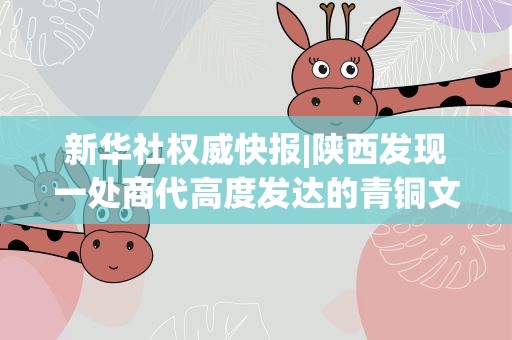 新华社权威快报|陕西发现一处商代高度发达的青铜文明和区域政治的中心