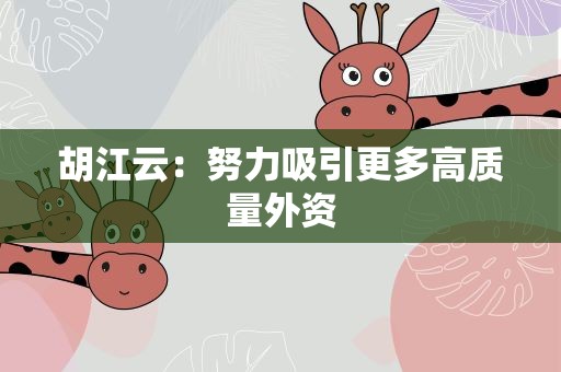胡江云：努力吸引更多高质量外资