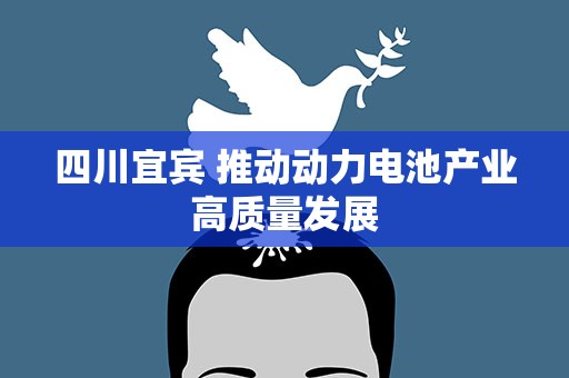 四川宜宾 推动动力电池产业高质量发展
